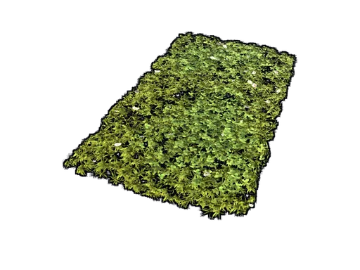 Grass Rug