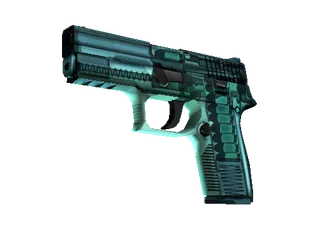 P250 | X-Ray