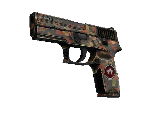 P250 | Red Rock (Battle-Scarred)