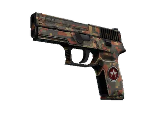 P250 | Red Rock (Battle-Scarred)