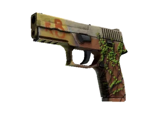 P250 | Inferno