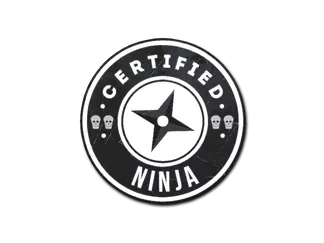 Sticker | The Ninja