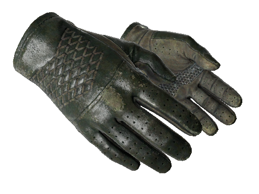 ★ Driver Gloves | Racing Green (Field-Tested)