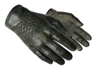 ★ Driver Gloves | Racing Green (Field-Tested)