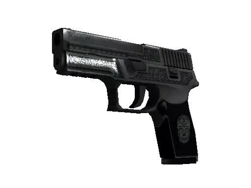 StatTrak™ P250 | Cartel (Battle-Scarred)