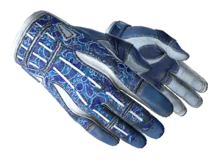 ★ Sport Gloves | Amphibious (Well-Worn)