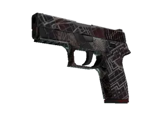 P250 | Facility Draft