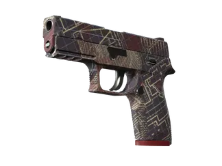 P250 | Facility Draft
