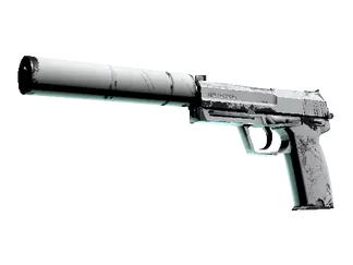 USP-S | Whiteout (Field-Tested)