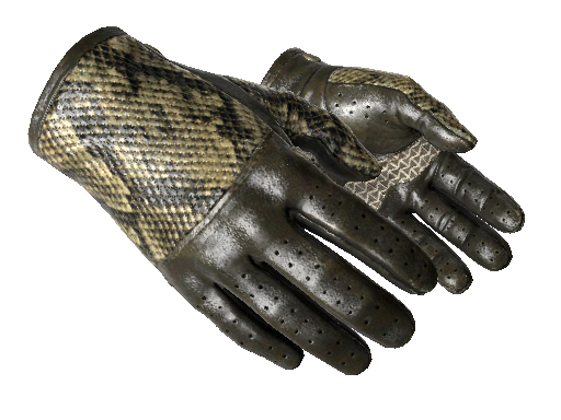 ★ Driver Gloves | Diamondback (Field-Tested)