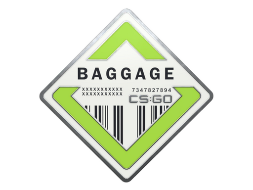 Baggage Pin