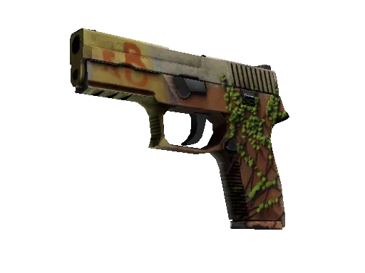 StatTrak™ P250 | Inferno (Well-Worn)