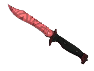 ★ Bowie Knife | Slaughter