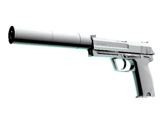 USP-S | Whiteout