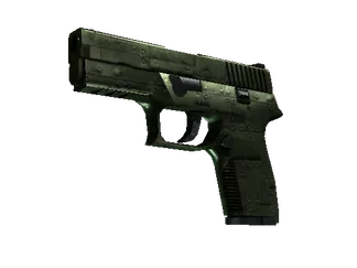 P250 | Iron Clad