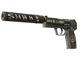 USP-S | Flashback (Battle-Scarred)