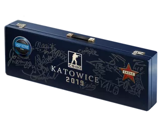 Katowice 2019 Cache Souvenir Package