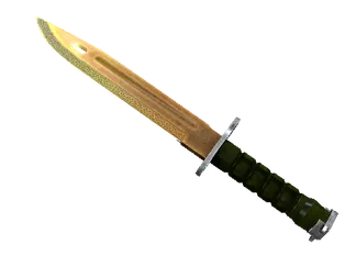 ★ Bayonet | Lore