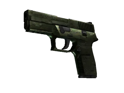 StatTrak™ P250 | Iron Clad (Well-Worn)