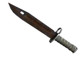 ★ Bayonet | Rust Coat