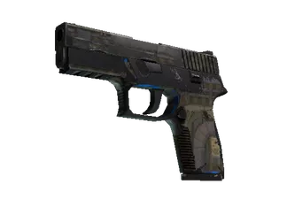 P250 | Exchanger