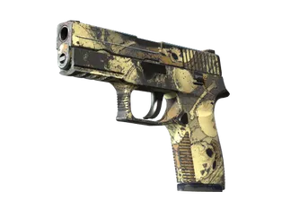 P250 | Contamination