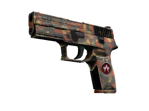 StatTrak™ P250 | Red Rock (Field-Tested)