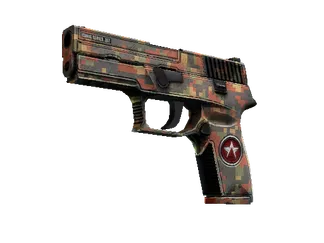 StatTrak™ P250 | Red Rock (Field-Tested)