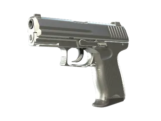 P2000 | Silver