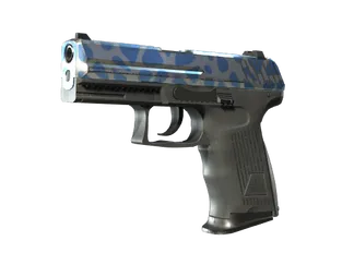 P2000 | Ocean Foam (Minimal Wear)