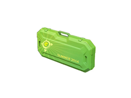 eSports 2014 Summer Case