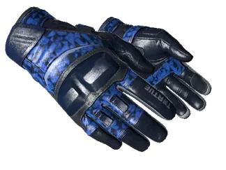 ★ Moto Gloves | Polygon