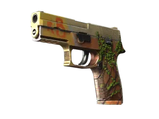 P250 | Inferno (Minimal Wear)