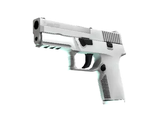 P250 | Whiteout