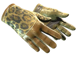 ★ Driver Gloves | Queen Jaguar (Field-Tested)