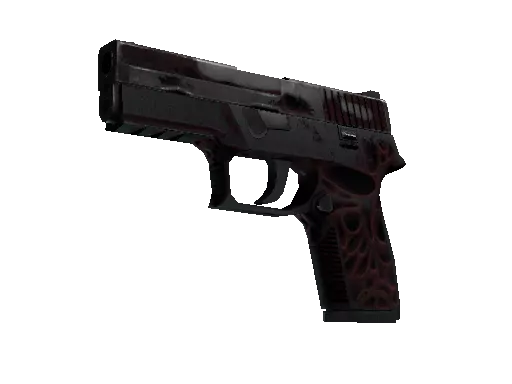 StatTrak™ P250 | Contaminant (Battle-Scarred)