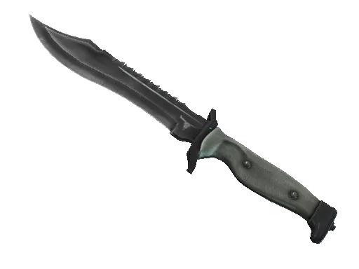 ★ StatTrak™ Bowie Knife