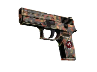 P250 | Red Rock