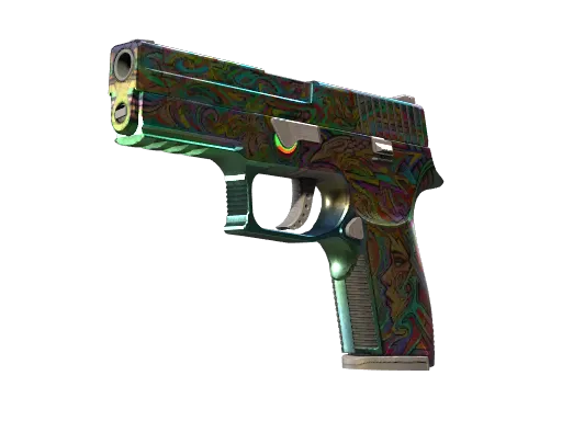 P250 | Visions (Well-Worn)