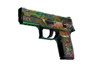 P250 | Visions (Well-Worn)