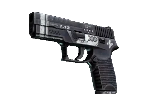 StatTrak™ P250 | Re.built (Minimal Wear)