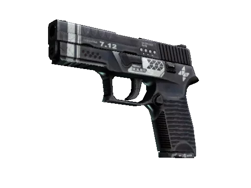 StatTrak™ P250 | Re.built (Well-Worn)