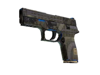 P250 | Exchanger