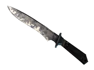 ★ Classic Knife | Stained