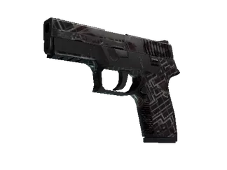 P250 | Facility Draft