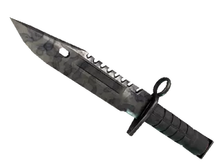 ★ M9 Bayonet | Stained