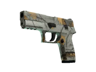 P250 | Modern Hunter