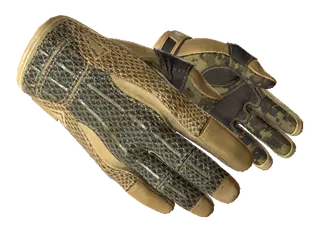 ★ Sport Gloves | Arid