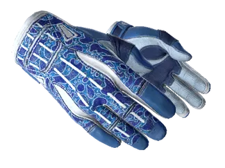 ★ Sport Gloves | Amphibious