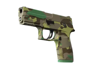 P250 | Boreal Forest